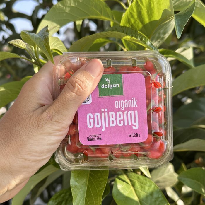 Organik Taze Gojiberry 120 Gr x 3 adet - Görsel 1